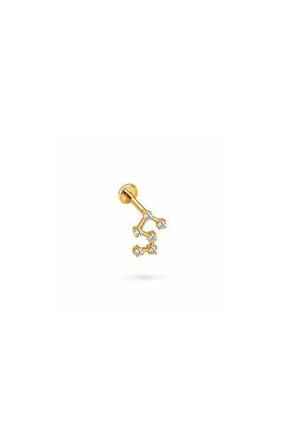 Siminkari Takım Yıldızı Piercing Titanyum 6 mm x 1.2 mm Altın Rengi
