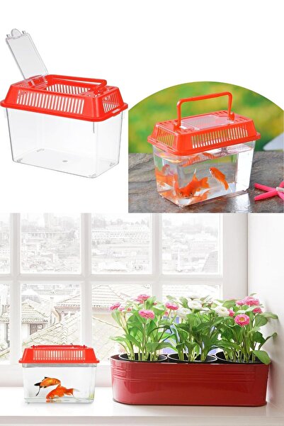 Shafag Home Taşınabilir Kulplu Mini Akvaryum Ve Fanus