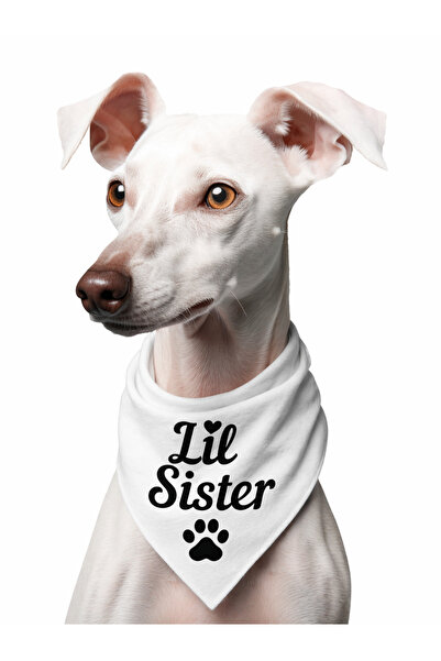 LIWOGY Lil Brother & Lil Sister Written Dog Scarf Bandana