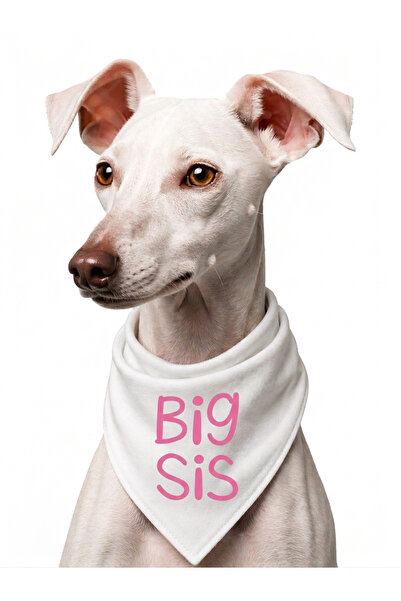 LIWOGY Big Sis & Big Bro Written Dog Scarf Bandana
