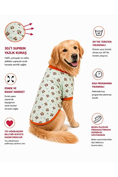 DOGİ&DOG Büyük Irk Green Sweat Bear Yazlık Köpek T-Shirt Köpek Kıyafeti (11-4...