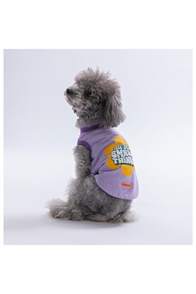 Pawstar Lilac-Lila Small Things Tişört Kedi Köpek Tişörtü-Kedi Köpek Kıyafeti