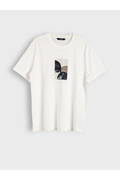 LC Waikiki Crew Neck Printed Men's T-Shirt