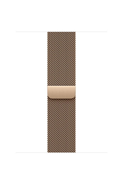 Apple Watch 40mm Loop: Gold Milanese Loop