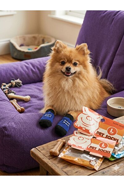 KÖPEK ÇORABI L BEDEN KAYDIRMAZ TABANLI