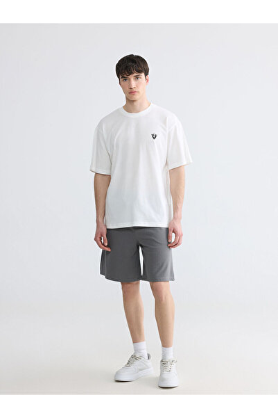 LC Waikiki Gray Comfortable Fit Men's Shorts