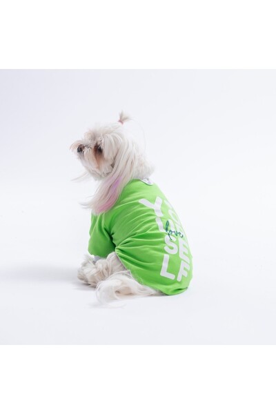 Pawstar Green-Green Yourself Love Sweat Cat Dog Sweati - Cat Dog Outfit