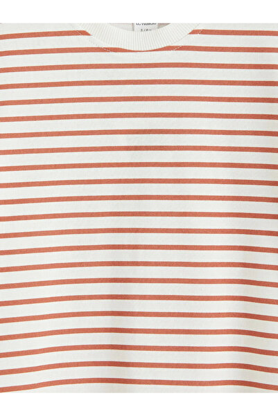 LC Waikiki Brown Crew Neck Striped Boy's T-Shirt