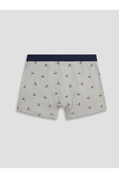 LC Waikiki Γκρι βαμβακερά εύκαμπτα ανδρικά μποξεράκια 3 τεμαχίων