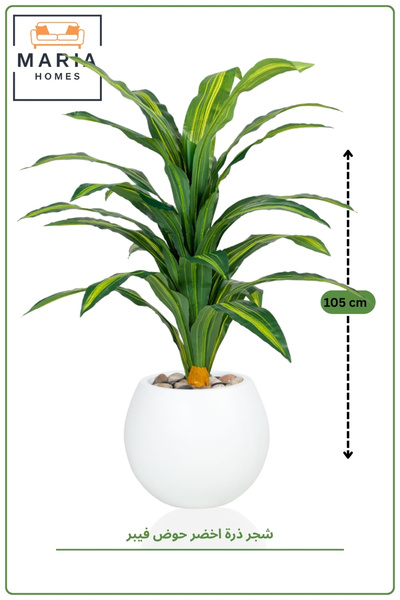 MARIA HOMES Artificial Dracaena Plant 100 CM with Modern Plastic Pot Indoor D...