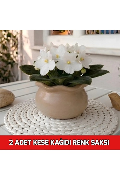 E.M.S AVM 2 ADET KESE KAĞIDI RENK MENEKŞE SAKSISI SUKULENT SAKSISI MUMLUK KIV...
