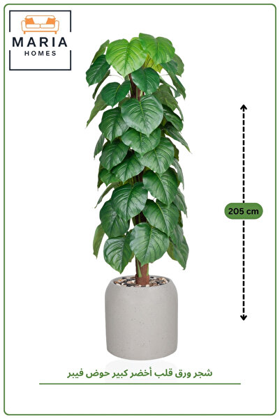 MARIA HOMES Artificial Heart Leaf Tree with Fiber Pot – 205 cm Tall Indoor De...