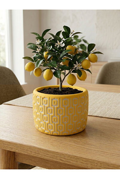 mora store Modern Bohem Sarı Beton Saksı 14x10 cm | Dekoratif Çiçeklik | Ev O...