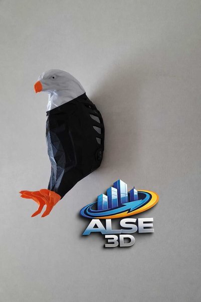 Alse3D 3D Kartal Gece Lambası – Duvara Yansımalı Dekoratif LED Aydınlatma | Modern Tasarım Pil Hediyeli