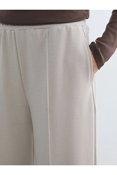 LC Waikiki Γκρι γυναικείο παντελόνι με πιέτες σε σχήμα καρότου