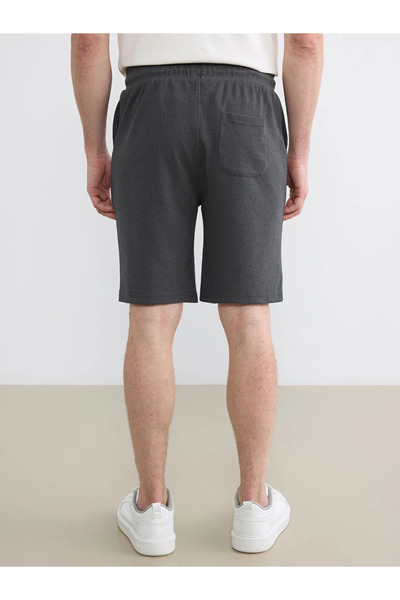 LC Waikiki Ανδρικό σορτς Anthracite Standard Fit