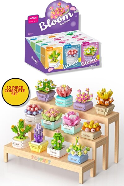 TOYFEST مجموعة كاملة من ألغاز الزهور العصارية ثلاثية الأبعاد من KOCO - 12 قطعة