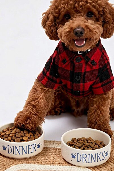 TRENDYOLMİLLA HOME Σετ 2 τεμαχίων με δοχεία τροφής και νερού για γάτες και σκ...