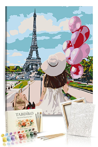 Tabdiko Sayılarla Boyama Seti 40 x 50 cm Tuval Şasesine Gerili Paristeki Balon