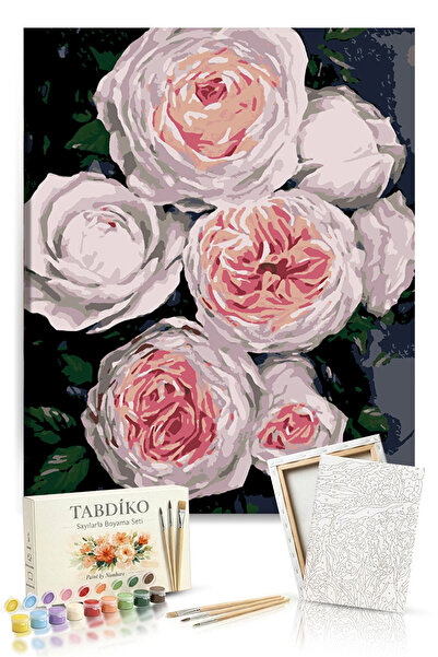 Tabdiko Sayılarla Boyama Seti 40 x 50 cm Tuval Şasesine Gerili Beyaz Güller