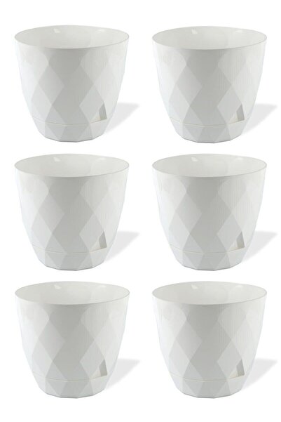 6 Pieces 0.65 Lt Blackwater Plastic White Color Flower and Cactus Pot