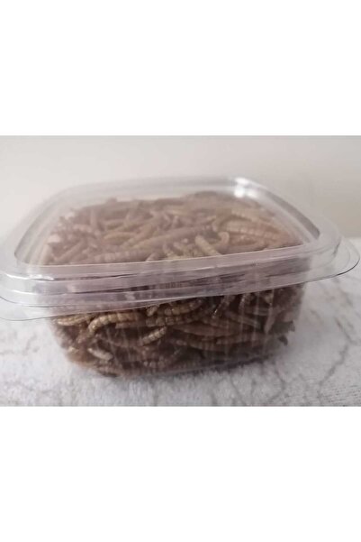 Koçlar Kurutulmuş Balık Yemi 50 gram