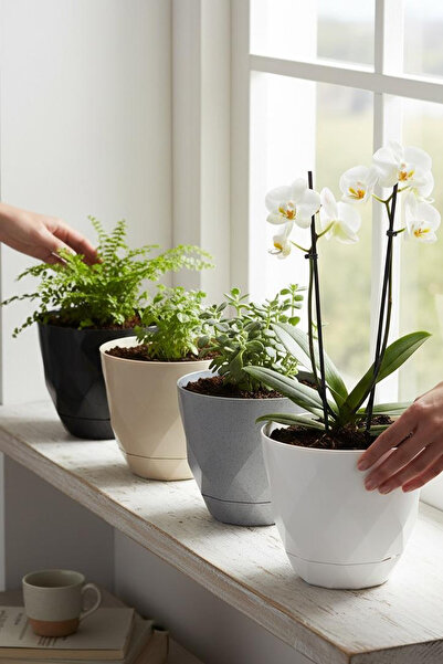 TEMMUZ HOME 4 Adet No3 2,4 Litre Parlak Renkli Tabaklı Plastik Çiçek Saksısı
