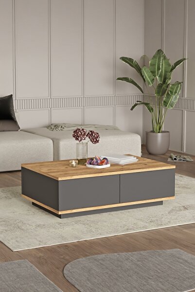 Yurupa Aven Orta Sehpa 60x90cm 2 Kapaklı Çam-Antrasit AVE14-AA