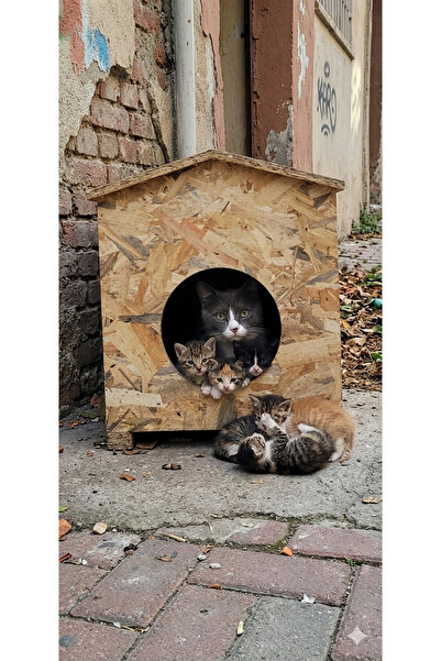 zekimöble Kedi Yuvası Evi Kurulu Sekilde Teslim Kaskolu Garantilidir.