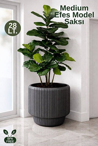Nandy Home Medium Efes Model Dekoratif Saksı İç Kovalı - Large Saksı