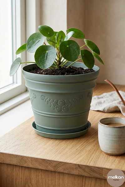 Melkan Home Dekoratif Papatya Desenli Saksı 3 Litre – Çok Amaçlı Dayanıklı Çiçek Saksısı, Balkon, Bahçe ve Salon Saksısı 19x16,5 cm