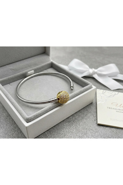 Siya Silver Tarnish Stainless Steel Round Zircon Stone Brand Model Charm Brac...