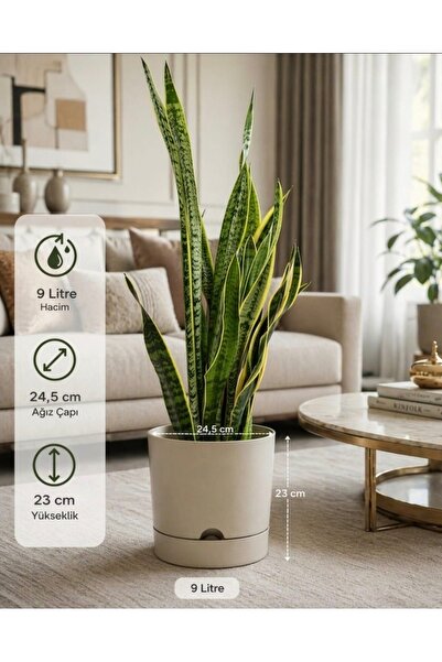 Poliwork Begonya 9 Litre Bej Tabaklı Saksı Ağız Çapı 24.5 Cm Yükseklik 23 Cm