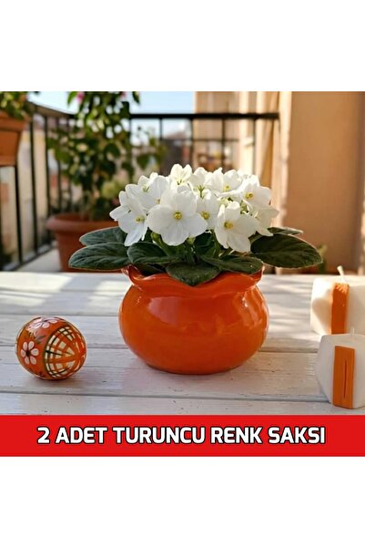 E.M.S AVM 2 ADET TURUNCU RENK MENEKŞE SAKSISI SUKULENT SAKSISI MUMLUK KIVRIML...
