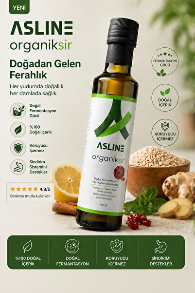 asline Organiksir 23 Bitki & Meyve Ekstraktlı Doğal Karışım Sirke Ananas, yeş...