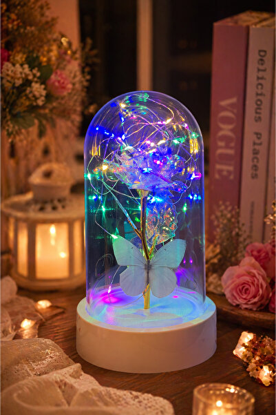 etxShop Sevgililer Günü Fanus Peri Led Işıklı Kelebekli Çiçek Solmayan Sonsuz...