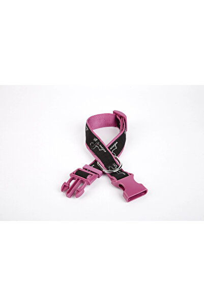 colezium Dog Patterned Woven Dog Collar 3 cm x 36-60 cm Purple
