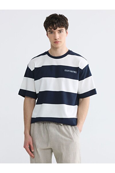 LC Waikiki Xside Crew Neck Striped Men's T-Shirt