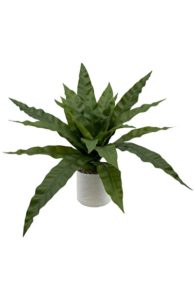 MirageBotanics نبات سرخس صناعي بطول 55 سم على شكل عش طائر، شجرة اصطناعية مع و...