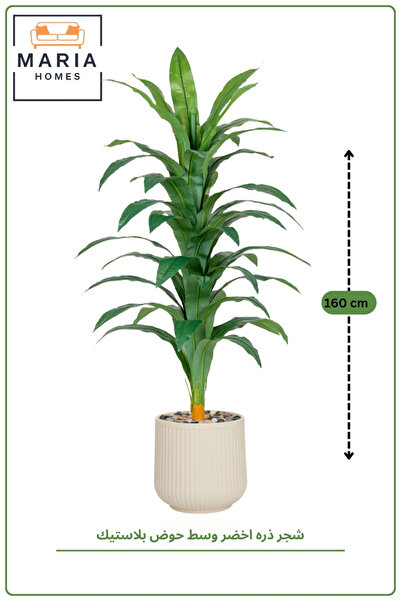 MARIA HOMES Artificial Dracaena Plant 160cm in Plastic Pot for Indoor Home Decor