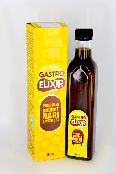 AHS Gastro Elixir Propolis & Kudret Narı Ekstresi 500 ml