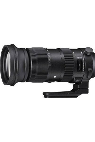 Canon Sigma 60-600mm f4.5-6.3 DG DN OS
