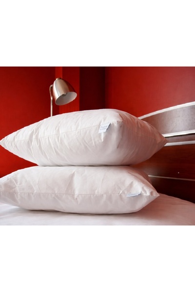 EVOMED 2 Αντιαλλεργικά Μεγάλα Μαξιλάρια 45x65 εκ.