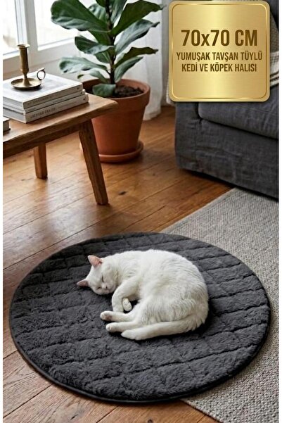 DAHABELLA LUXE HOME 65X65 Kaymaz Taban Ultra Yumuşak Tavşan Tüyü Kedi Köpek Y...