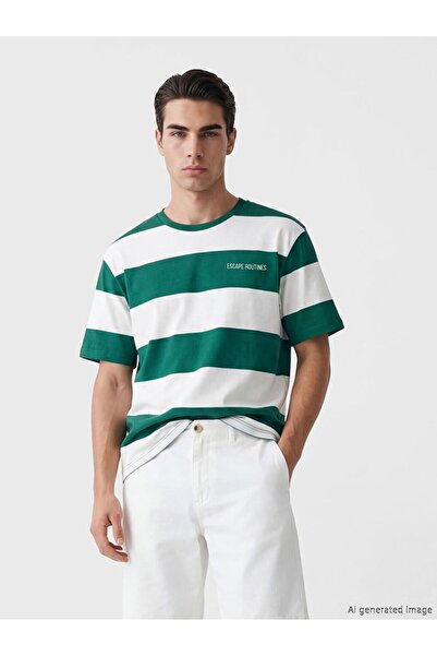 LC Waikiki Xside Crew Neck Striped Men's T-Shirt