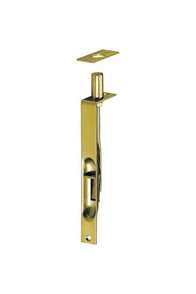 ESBH 10 cm İtmeli Gömme Sürgü Sarı Kapı Sürgüsü Gizli Kilit