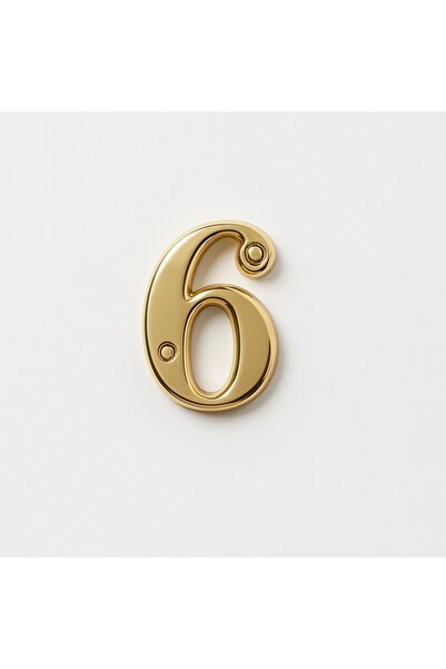ESBH Gold Kapı Numarası Paslanmaz Çelik No :6 Vida Delikli
