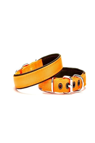 colezium طوق كلب ناعم 2 سم × 40 سم Tcu