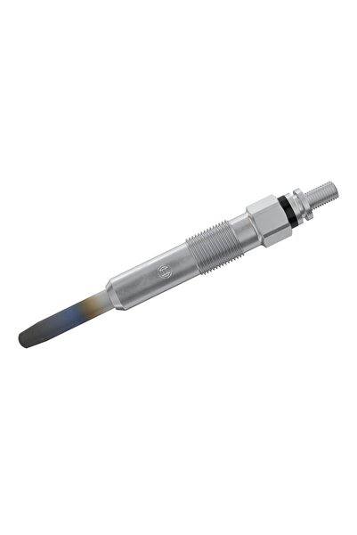 Bosch BCH 0250202025 KIZDIRMA BUJISI 7700100586