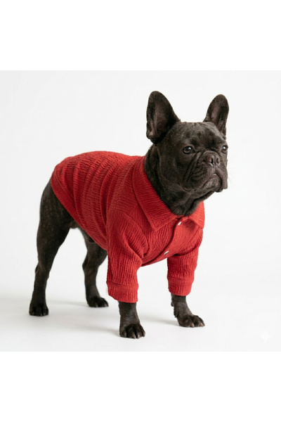 Buddy Store Gömlek - Crinkle Collection Kırmızı